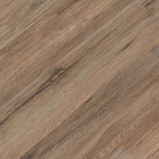 Cyrus 2.0 Fauna 20 MIL MSI Luxury Vinyl Plank Flooring - Luxury Vinyl Flooring sample