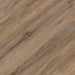 Cyrus 2.0 Fauna 20 MIL MSI Luxury Vinyl Plank Flooring - Luxury Vinyl Flooring sample